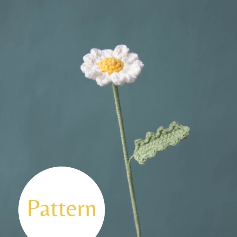Field Daisy #33
